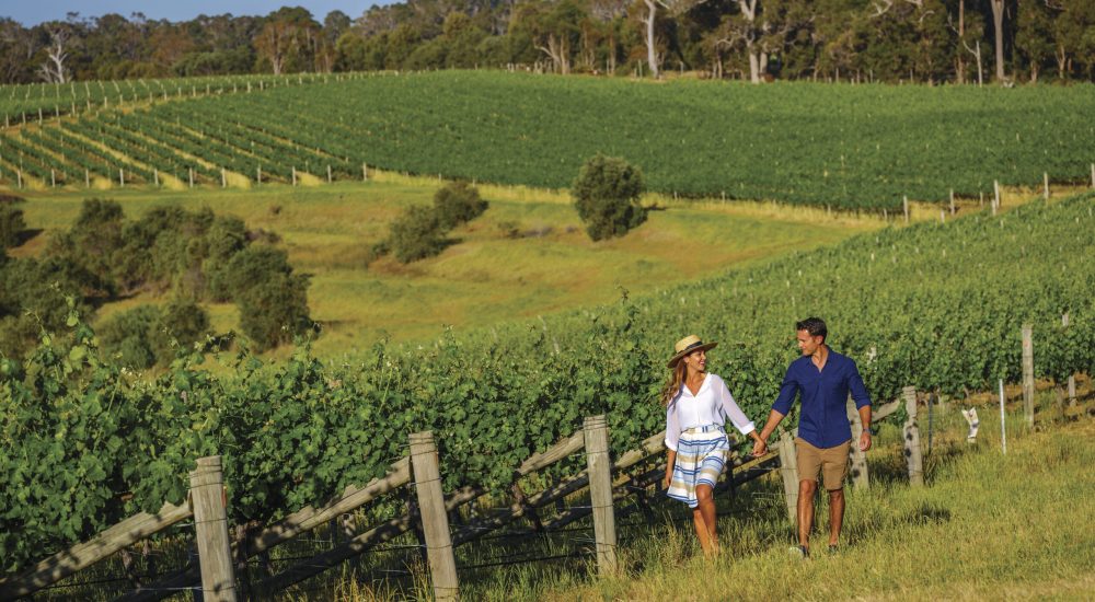 Couple walking through the vines at Wills Domain, Margaret River