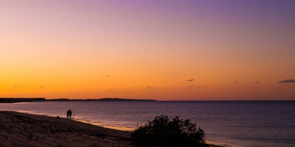 australia expert travel agency bestemmingen west australia shark bay monkey mia img-5