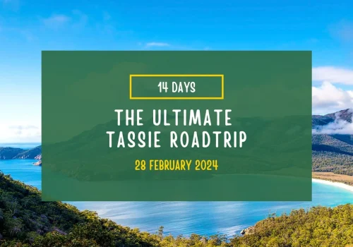 australia expert travel agency evenementen the ultimate tassie roadtrip